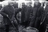 1930-1934. Понятые во дворе крестьянина при поиске хлеба.