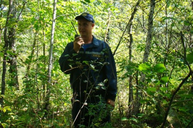 84-летний грибник вернулся домой после недели блужданий в лесу Ярославля.