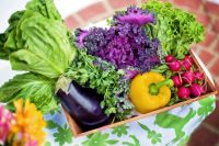 На городских рынках цена на овощи снижаться не будет? 