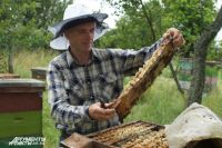 Юрий Гнатенко: «Пчел нужно любить и уважать».