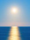 Джошуа Вуд (Новая Зеландия). Фотограф поймал момент, когда Луна, восходящая над сверкающим океаном у берегов Вайрарапы, имеет удивительное сходство с Солнцем.