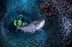 7 августа. Аквалангист в окружении косяка рыб в районе дьявольского грота вблизи Джорджтауна на Каймановых островах. 
