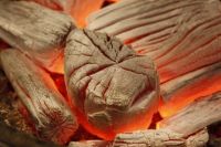 Кроме остановки углетомительных печей, которые есть основа производства древесного и активированного угля, на предприятие наложен административный штраф в 130 тыс.рублей.
