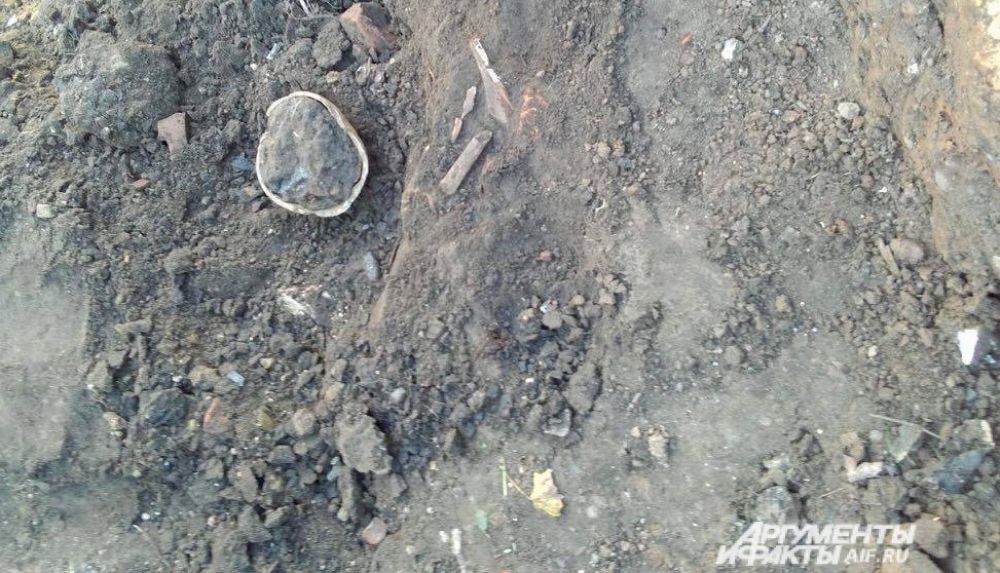 После обнаружения останков человека, на место вызвали полицию и следственный комитет.