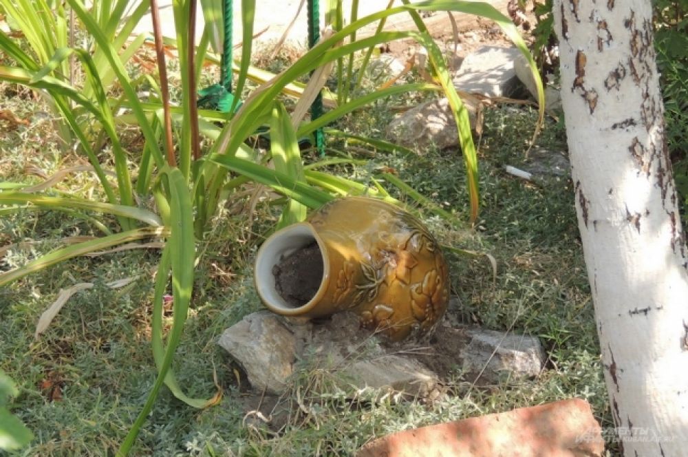 Старая ваза может украсить практически любую клумбу (ул. Артюшкова, 21).