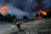 Пожарный борется с огнём возле деревни Меточи к северу от Афин.