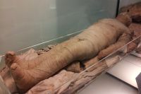 В Ишиме сотрудники водоканала нашли мумию местного бомжа
