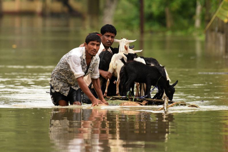 Мужчины используют самодельный плот для перевозки коз по затопленной дороге в районе Нагаон в северо-восточном штате Индии Ассам.