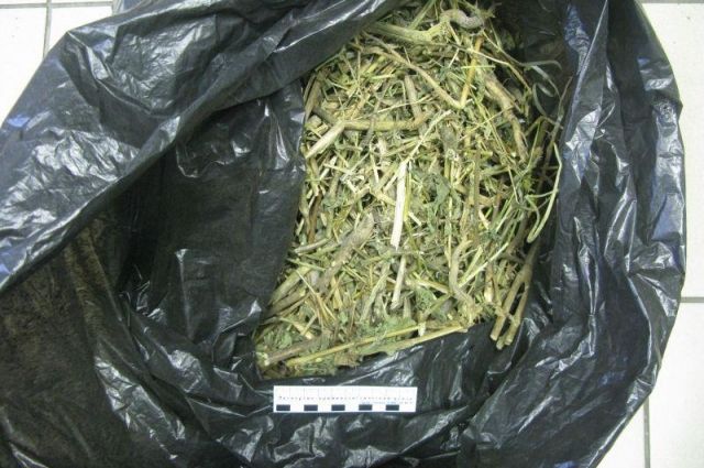 В Заводоуковске мужчина нарвал себе мешок марихуаны и попался полицейским