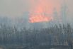 Природному пожару в Усть-Донецком районе присвоен самый высокий, пятый уровень сложности.