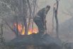 Природному пожару в Усть-Донецком лесничестве присвоен самый высокий - пятый, уровень сложности.