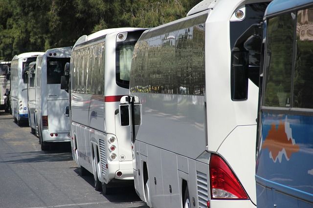 По 2-3 дополнительных автобуса появится на городских маршрутах. 