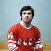 Валерий Харламов (нападающий). 7 матчей, 8 очков (3+5). Член Зала славы IIHF. Погиб в автомобильной катастрофе 27 августа 1981 года.