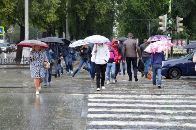 Неделю в Перми будет дождливой.