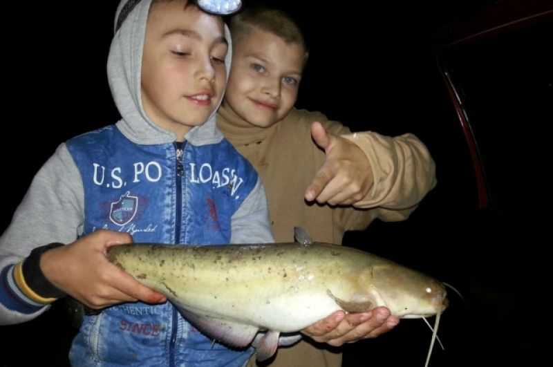 Ночная рыбалка удалась! Ребенок, вооруженный фонариком и спинингом ночью сам смог поймать сома! Стаж у маленького рыбака уже 4 года!