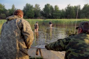 Численность некоторых популяций рыб упала до критической отметки.