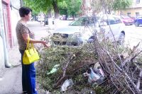 Вокруг куч из веток и листьев на ул. Ереванской уже образовались стихийная свалкка.
