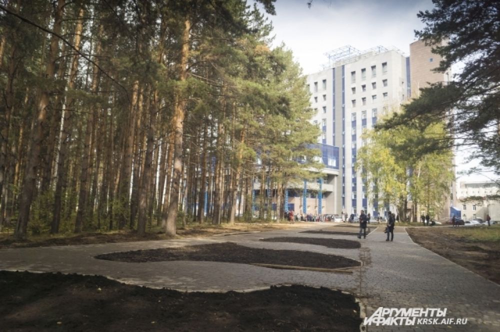 У здания библиотеки СФУ можно увидеть бурное строительство Студенческого бульвара.