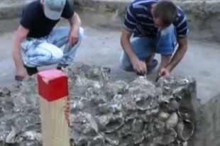 Житель Чигирина обнаружил в огороде 200 черепов