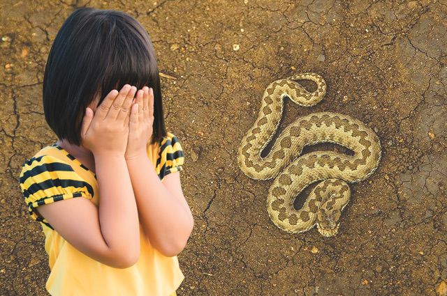 В Тюмени к детской площадке выползла змея