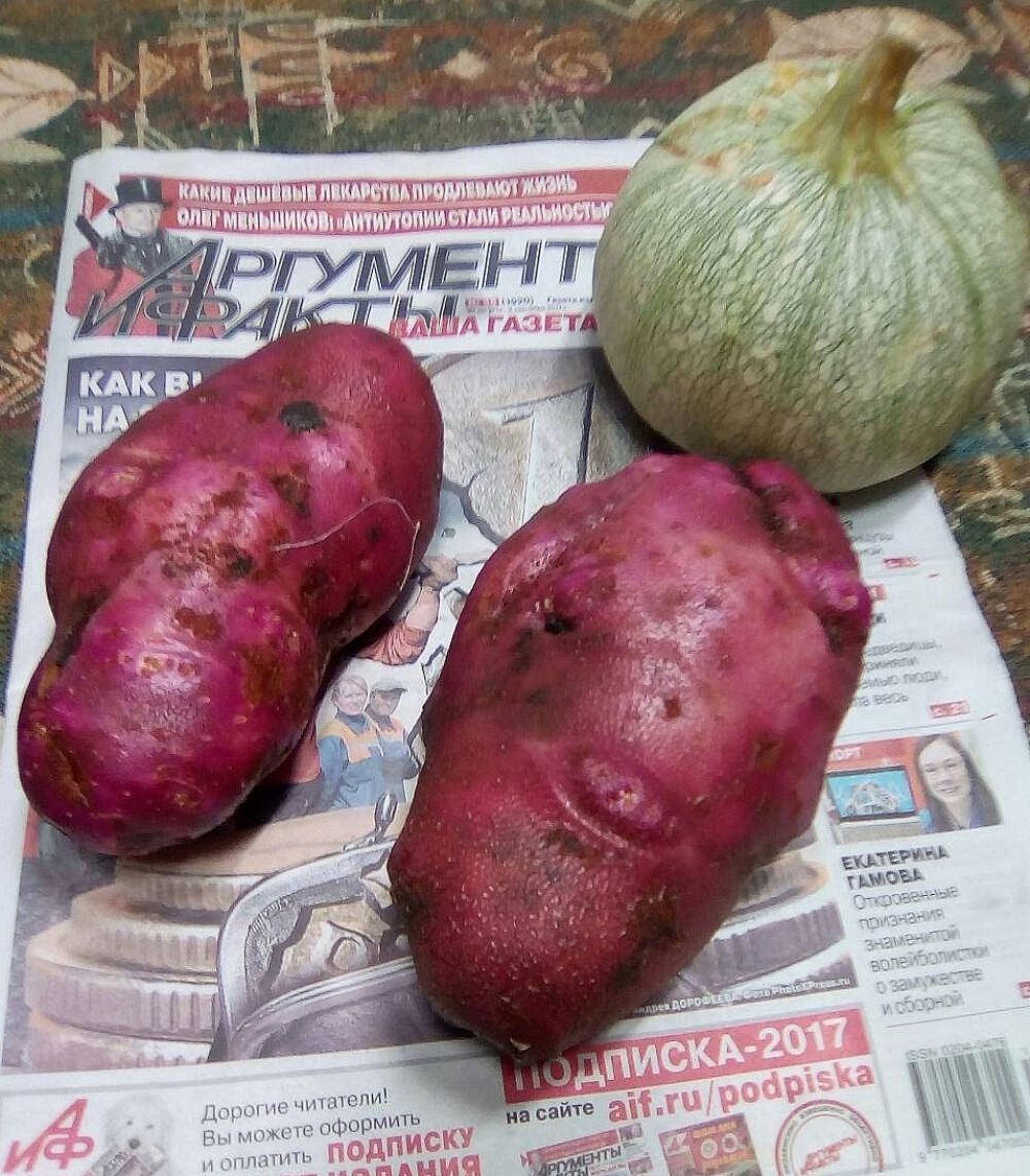 Участник №8. Галина Костантиновна, Иркутск. «Чудо-картошечка».