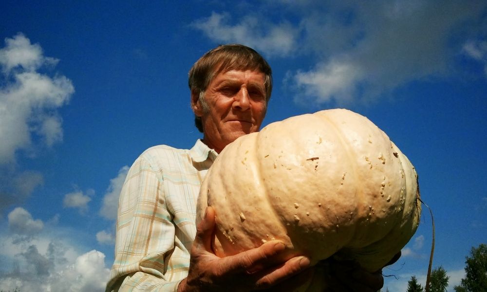Участник № 1. Леонид Боталов. Заядлый огородник вырастил чудо-тыкву при помощи маленьких огороднических секретов.