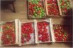 Участник № 22. Мария Якимова, Полазна: «Собрали 130 кг томатов».