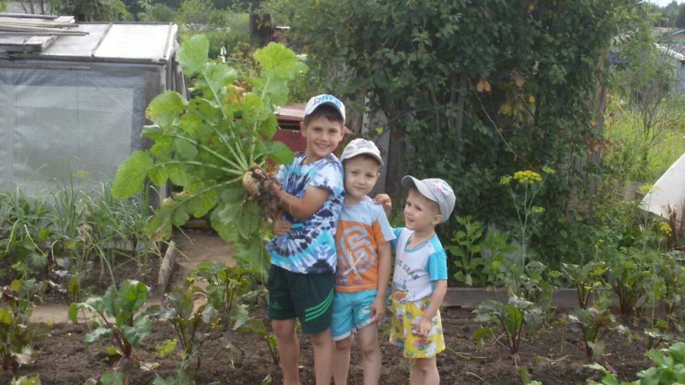 Участник № 23. Ольга Лукина: «Посадил Савелий репку, И все лето поливал. Пришло врем репку дергать, Братишек он свои позвал».