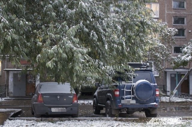 Во многих дворах деревья под снегом опасно склонились над парковками.