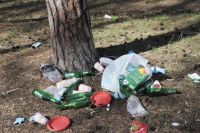 Судя по количеству мусора, которым безответственные граждане щедро посыпают леса, поля и долины рек, большую уборку нужно проводить постоянно. 