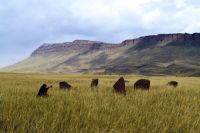  Оглахты - природный заповедник, где одно из самых больших скоплений петроглифов.