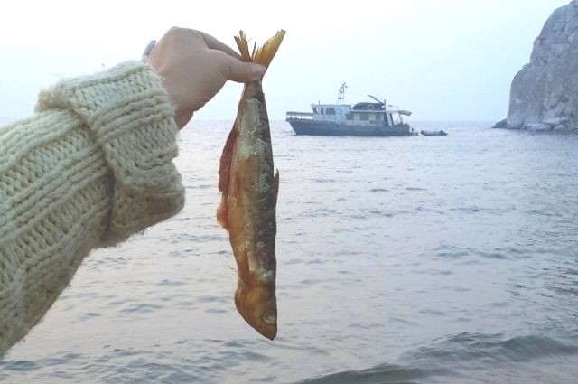 Всего 30 инспекторов Рыбоохраны - на весь Байкал.