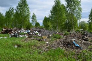 Возле Червишево сотрудники МЧС спасли лес от захламления