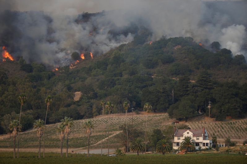 Огонь на склонах около Напа-роуд в округе Сонома.
