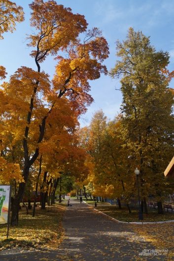 Аллея парка культуры и отдыха имени В.Г. Белинского.