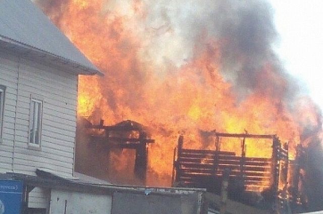 В сгоревшем доме в Надымском районе обнаружен труп