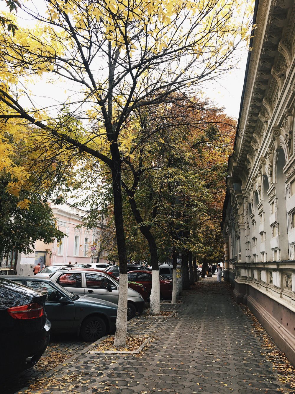 Симферополь, ул. Пушкина.