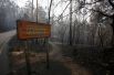 Сгоревший лес в Чандебрито, Галисия, Испания.