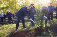 Врио губернатора посадил свое первое дерево в Сибири.