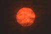 16 октября. Красное солнце в небе над Эстером, Великобритания. Шторм «Офелия», обрушившийся на соседнюю Ирландию, принёс с собой песок из Сахары и дым от лесных пожаров в Португалии, из-за чего небо приобрело необычный цвет.