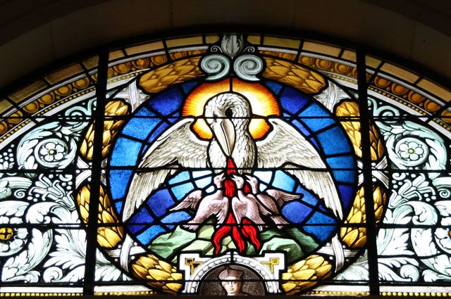 Пеликан, кормящий ребёнка собственной кровью.  Витраж в римско-католическом соборе Крайстчерч. Новая Зеландия.