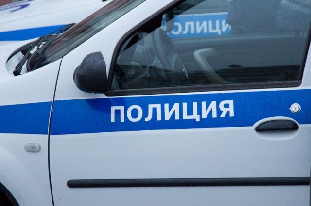 В Оренбурге полицейские проверяют сообщение о жестоком убийстве собаки.