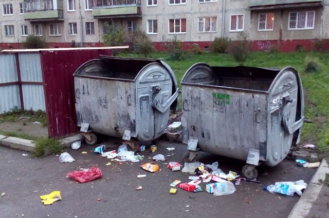 Власти Губкинского изучали содержимое мусорных контейнеров
