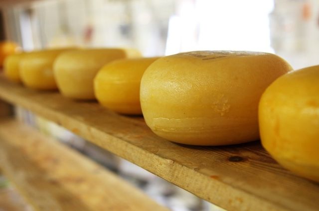 На прилавках края много сыра, но не весь он качественный.
