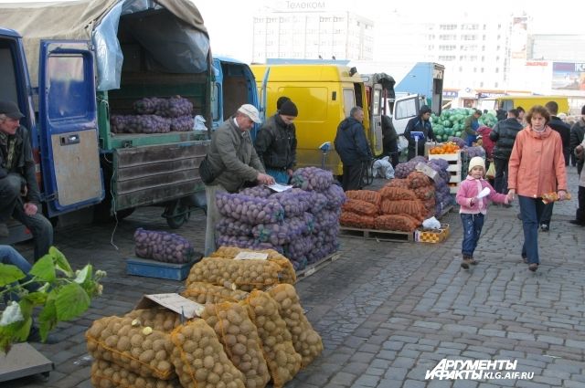 Три новые сельхозярмарки открылись в Калининграде.