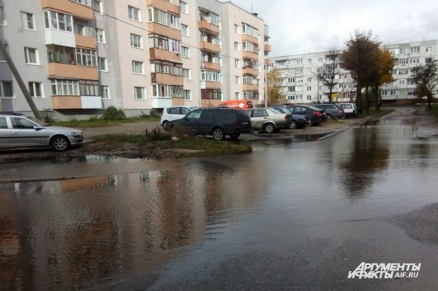 В МЧС рассказали о последствиях штормового ветра в Калининградской области.