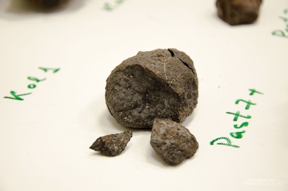 В основном ученым попались хондриты, но есть и редкий ахондрит. Он был в составе достаточно крупного астероида.