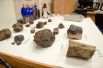Ученым предстоит изучить найденные метеориты и их компоненты. 