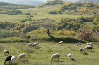 До сих пор на Кавказе используется рабский труд. Например, рабы пасут скот в горах.