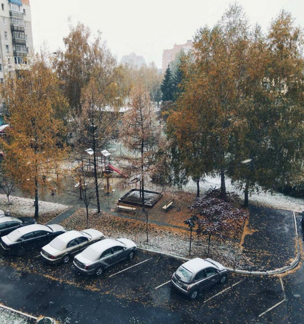 В Сумах первый снегопад продолжался несколько часов, на улицах стало белым-бело.